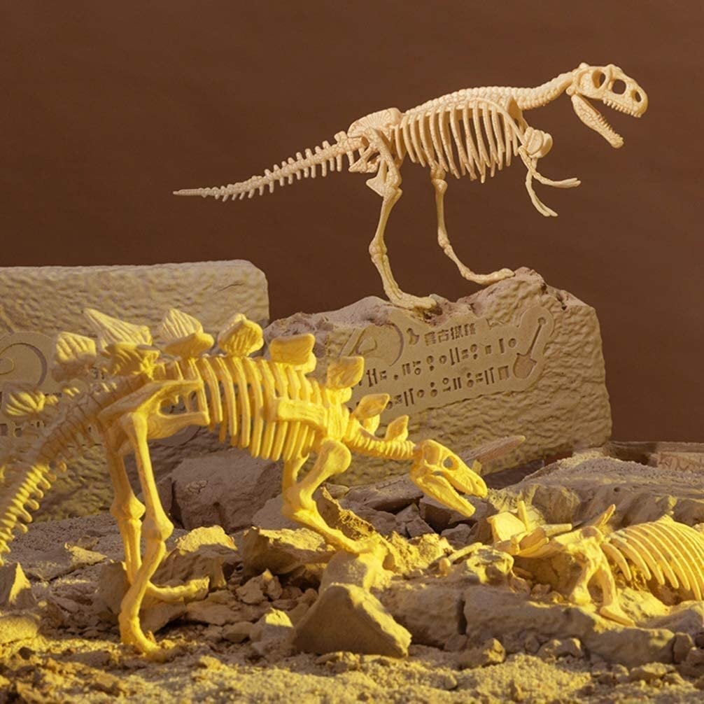🦖Dinosaur fossil excavation paleontology toy set