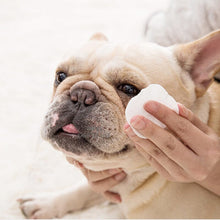 Load image into Gallery viewer, Pet Eye Wipes Cat And Dog Eye Feces Cleaning