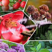 Load image into Gallery viewer, Slow Release Garden Universal Fertilizer Tablets