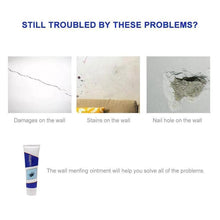 Load image into Gallery viewer, Wall Repairing Ointment（250 g）