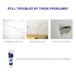 Wall Repairing Ointment（250 g）