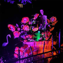 Load image into Gallery viewer, DIY Sunflower Skeletons Decor