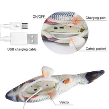 Load image into Gallery viewer, 🐟Plush Simulation USB Charging Cat Fish Toy🐟