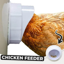 Load image into Gallery viewer, Feeding Kit Special Tools For Breeding Chickens Ducks Poultry Accessories