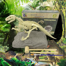 Load image into Gallery viewer, 🦖Dinosaur fossil excavation paleontology toy set