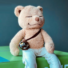 Load image into Gallery viewer, Car Interior Air Freshener