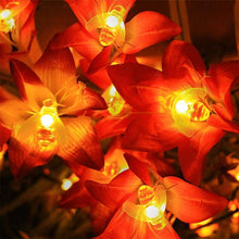 Load image into Gallery viewer, Solar-Powered LED Bee String Lights