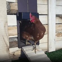 Load image into Gallery viewer, Automatic Poultry House Door