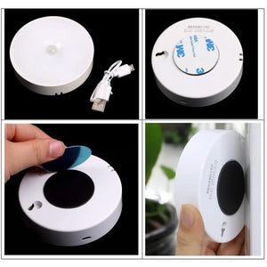 Intelligent Human Induction LED Night Light