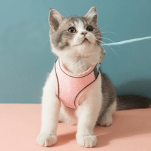 Load image into Gallery viewer, Cat Vest Harness and Leash Set