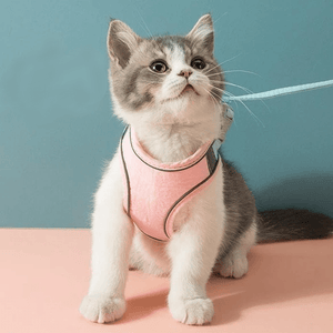 Cat Vest Harness and Leash Set