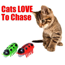 Load image into Gallery viewer, Super Robot Bug Toy for Cats - 2 Pcs