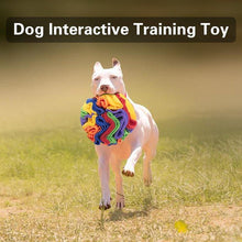 Load image into Gallery viewer, Foldable Dog Snuff Ball Dog Training Toy