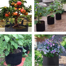 Load image into Gallery viewer, Grow Bags, Garden Planting Bag