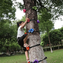 Load image into Gallery viewer, Kids Backyard Rock Climbing Kit