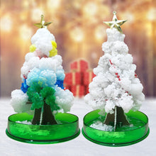 Load image into Gallery viewer, 3 in 1 Mini Christmas Tree Magic Growing