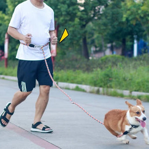 Hands Free Dog Leashes