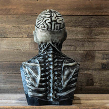 Load image into Gallery viewer, (🎃Early Halloween action🎃)orrible Skeleton Bioman