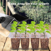 Load image into Gallery viewer, Seed Starter Trays