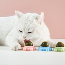 Load image into Gallery viewer, Catnip Wall Ball Edible Cat Toys