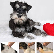 Load image into Gallery viewer, 🐱Pet Hair Remover Comb🐶