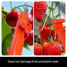 Load image into Gallery viewer, Efficient Pepper Gathering Tools