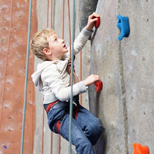 Load image into Gallery viewer, Kids Backyard Rock Climbing Kit
