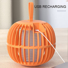 Load image into Gallery viewer, 2 in 1 Noiseless Mosquito Killer Lamp