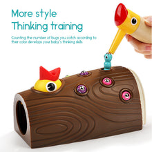 Load image into Gallery viewer, Worm Feeding Toy