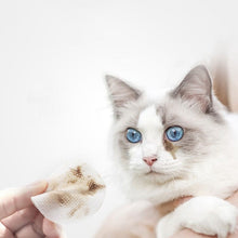 Load image into Gallery viewer, Pet Eye Wipes Cat And Dog Eye Feces Cleaning