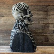 Load image into Gallery viewer, (🎃Early Halloween action🎃)orrible Skeleton Bioman