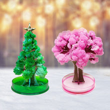 Load image into Gallery viewer, 3 in 1 Mini Christmas Tree Magic Growing