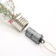 Load image into Gallery viewer, LED Micro Landscape Christmas Bulbs