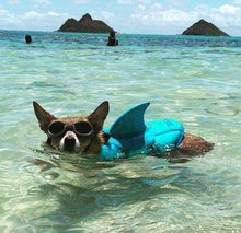 Load image into Gallery viewer, Pet Shark Life Vest