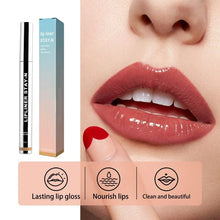 Load image into Gallery viewer, Detachable Lip Liner