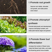 Load image into Gallery viewer, Slow Release Garden Universal Fertilizer Tablets