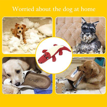 Load image into Gallery viewer, Pet crocodile toy