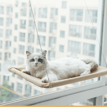 Load image into Gallery viewer, The Kitty Indoor Hammock