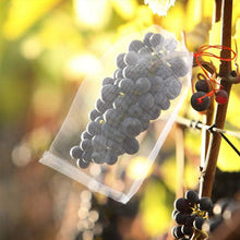 Load image into Gallery viewer, Nylon Fruit Exclusion Bags (100PCS)