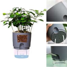 Load image into Gallery viewer, Self-watering Hydroponic Flowerpot
