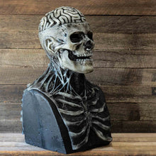 Load image into Gallery viewer, (🎃Early Halloween action🎃)orrible Skeleton Bioman