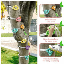 Load image into Gallery viewer, Kids Backyard Rock Climbing Kit
