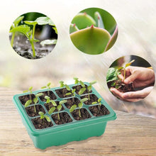 Load image into Gallery viewer, Seed Starter Trays