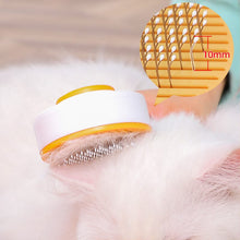 Load image into Gallery viewer, 2-in-1 cleansing pet hair removal brush