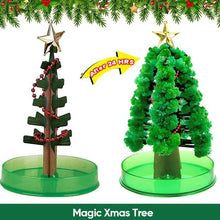 Load image into Gallery viewer, 3 in 1 Mini Christmas Tree Magic Growing