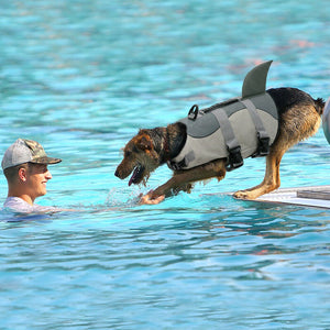 Pet Shark Life Vest