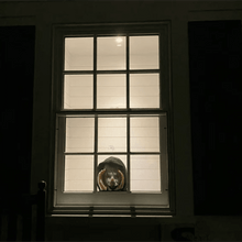 Load image into Gallery viewer, Scary Peeper Creeper