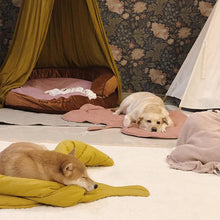 Load image into Gallery viewer, Leaf Shape Dog Blanket
