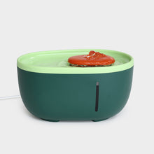 Load image into Gallery viewer, Avocado Water Fountain