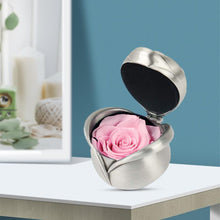 Load image into Gallery viewer, Preserved Flower Rose